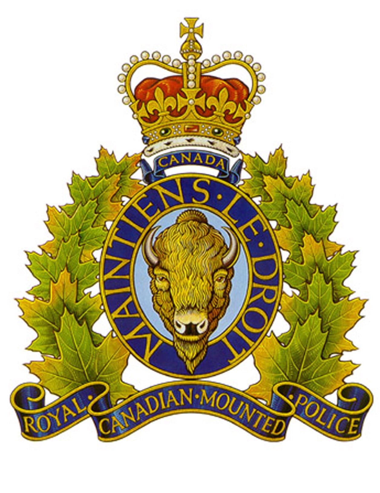 Emergency Services Organizations | The Village Of Lions Bay